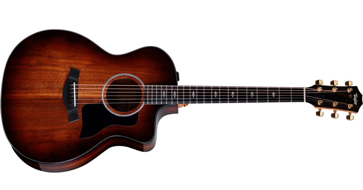 【最終価格】Taylor/224ce-K DLX エレアコ Taylor-224ce-K DLX-2210023082-
